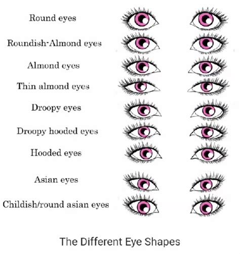 shapes of eyes types of faces shapes different types of eyes shapes of eyes eyes types