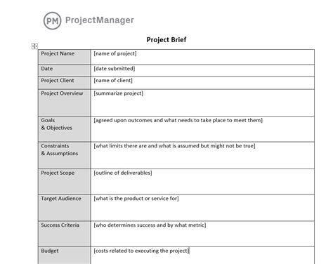 Project Brief Template For Word Free Download