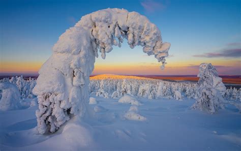 Download 3840x2400 Wallpaper Sunset Winter Landscape Nature Trees