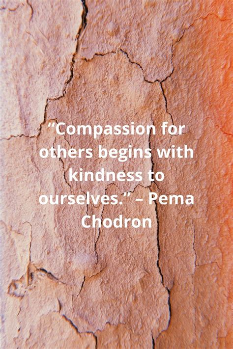 50 Best Compassion Quotes And Sayings
