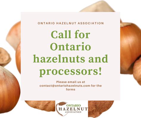 Call For Hazelnuts And Processors Ontario Hazelnut Association