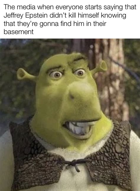 Donkey Shrek Meme Koleksi Gambar