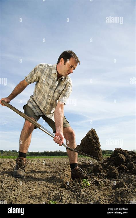 Mid Adult Man Digging In Field Stock Photo Alamy