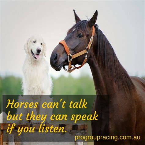 Horses Cant Talk But They Can Speak If You Listen Talk Horses
