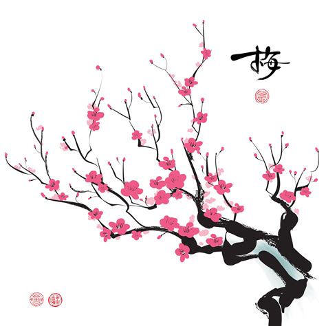Cherry Blossom Line Drawing Free Download On Clipartmag