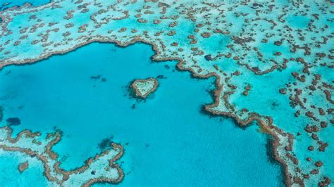 I Visited The Great Barrier Reef Before It Died And You Should Too