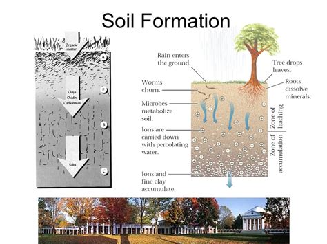 Soil formation factors atmospheric climate and weather conditions soil climate landform and topography mottles 6. 68 TUTORIAL : HOW PROCESS OF SOIL FORMATION PDF VIDEO DOC ...