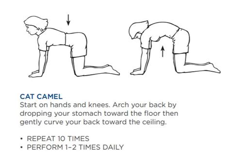 Www.posturevideos.com the advanced cat camel posture exercise targets the muscles in your flanks. Fitness Friday: How to Maintain a Healthy Back - Legacy ...