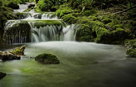 Wallpaper Forest Stones Moss River Images For Desktop Section