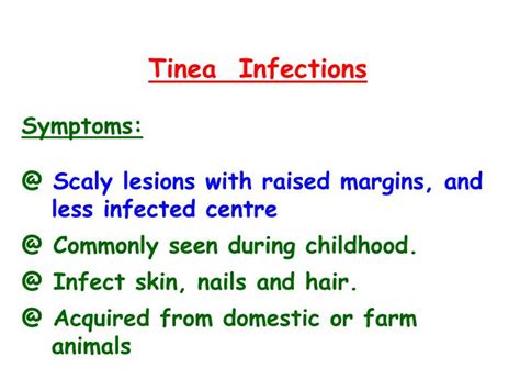 Ppt Tinea Infections Symptoms Scaly Lesions With Raised Margins