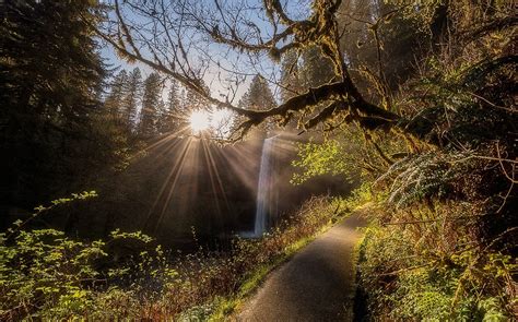 Wallpaper Sunlight Trees Landscape Forest Waterfall Nature