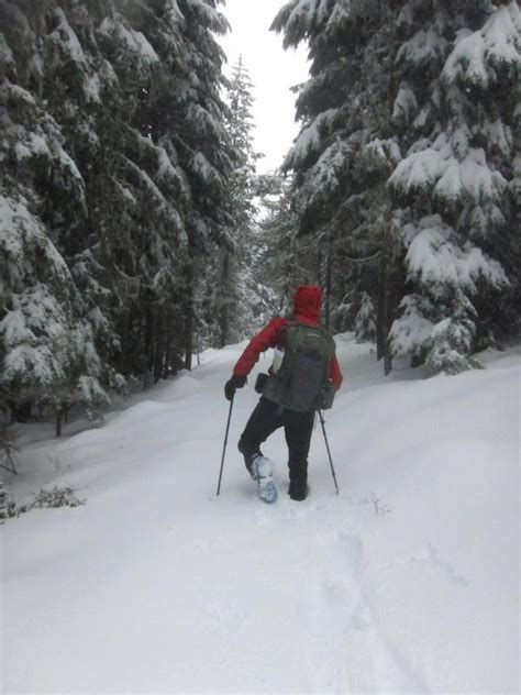 Adventurers Attempt Winter Thru Hike Of Pacific Crest Trail Kuow News