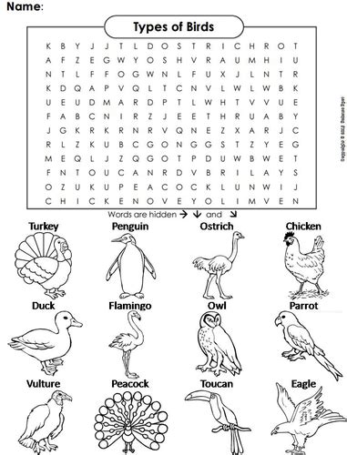 Types Of Birds Word Search Teaching Resources