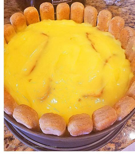 Make my homemade lady fingers recipe for tiramisu and more desserts! Lady Finger Lemon Dessert in 2020 | Lemon desserts, Lady fingers dessert, Desserts