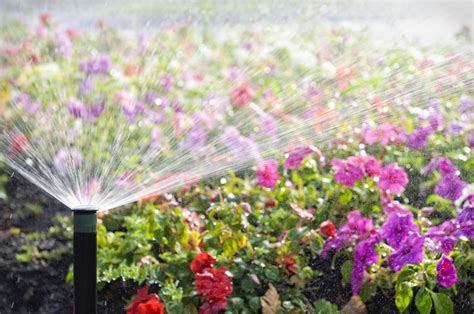 Whats New In Irrigation Winterberry Gardens