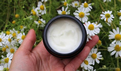 Homemade Chamomile Lotion Recipe Lovely Greens