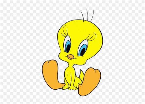Looney Tunes Tweety Bird Cartoons