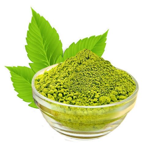 Organic Tulsi Basil Leaves Powder 5 Kg Rs 1045 Kg Vagad Agro