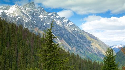 Glacier National Park In Golden British Columbia Expedia