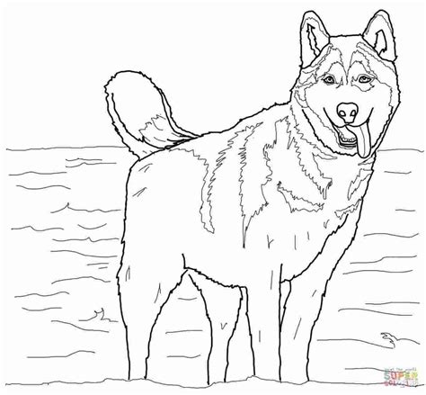 50 Cute Husky Puppy Coloring Pages Febi Art
