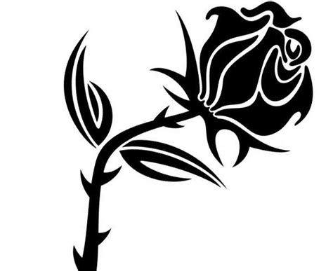 Black Rose Vector Image