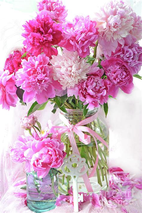 Cottage Bouquet Of Pink Peonies Shabby Chic Peony Cottage Decor