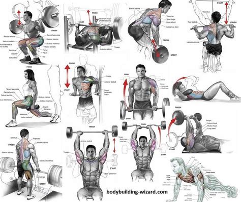 Exercise Selection How To Choose The Right Exercises Bodybuilding