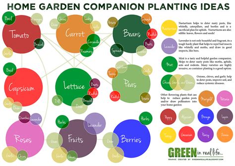 Green In Real Life Ideas For The Home Garden Companion