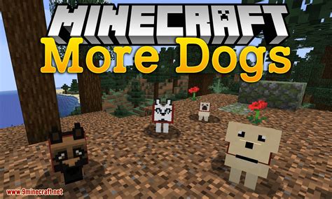 Maybe you would like to learn more about one of these? More Dogs Mod 1.15.2/1.14.4 (More Dog Breeds to Minecraft ...