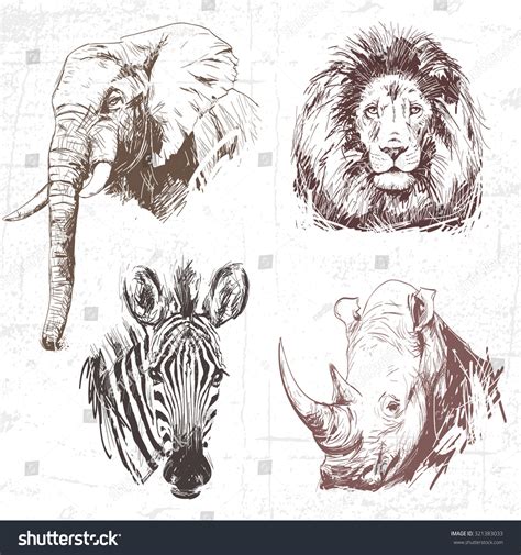 A new york native, he has lived in south africa for more than thirty years. Animals Around World Africa Collection Hand Stock Vector 321383033 - Shutterstock