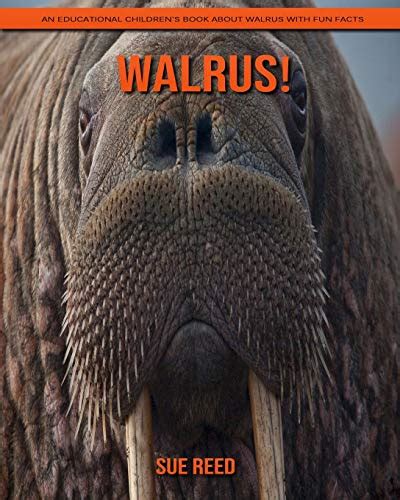 Walrus An Educational Childrens Book About Walrus With Fun Facts By