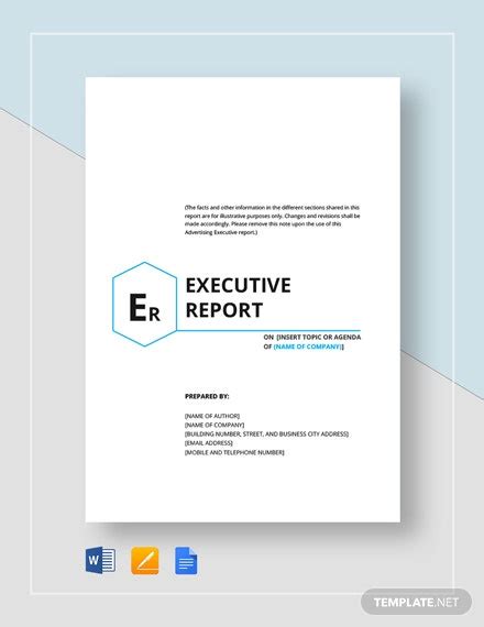 Executive Report Template 11 Free Word Pdf Documents Download
