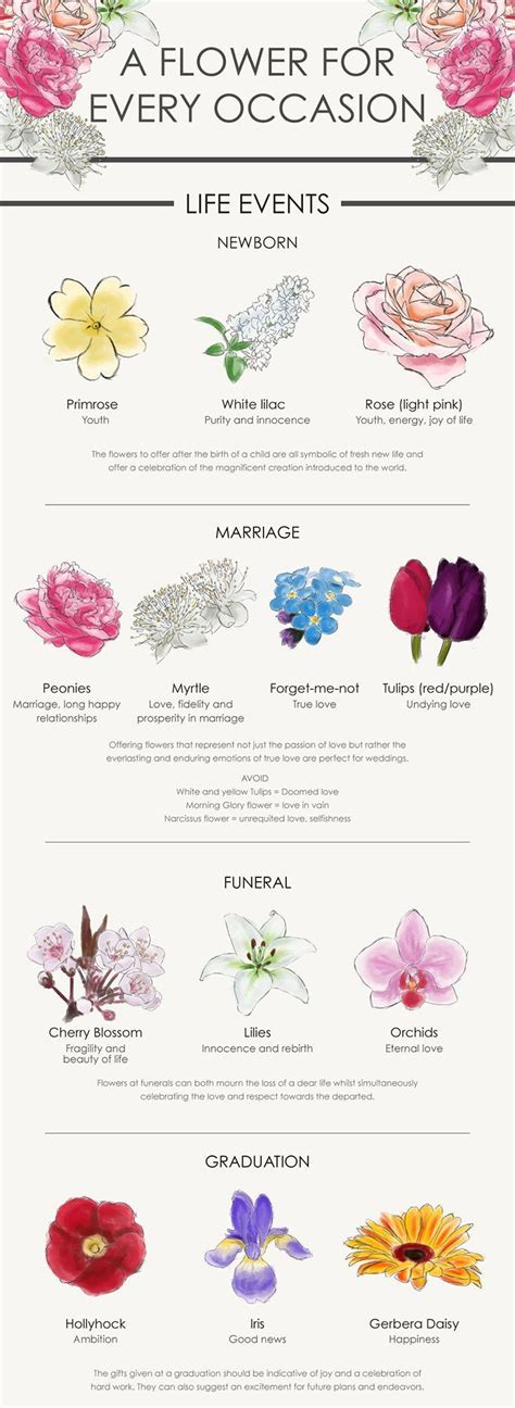 Order a gorgeous flower bouquet from onlineflowers.sg to express your feelings now! A Flower For Every Occasion: Your Complete Guide | Flower ...