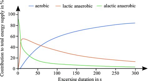 Visualization Of Contribution Of Aerobic Lactic Anaerobic And Alactic