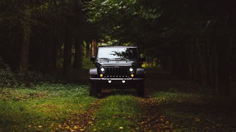 Wallpaper Id 110693 Jeep Jeep Wrangler Forest Nature Grass