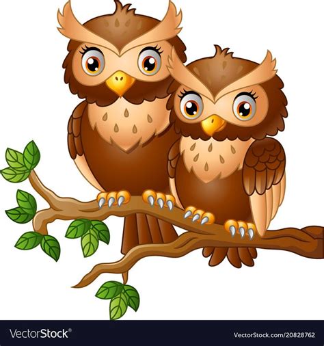 Cute Couple Owl On The Tree Branch Vector Image On Vectorstock