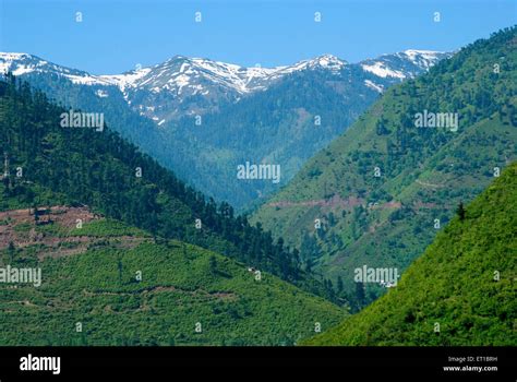 Beautiful Scene Of Green And Snow Mountains Gulmarg Srinagar Jammu And