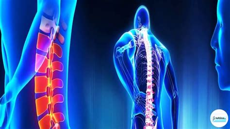 But once you've sought treatment, can uti symptoms linger after antibiotics? Can Ligament Injury Heals Itself | HealMyBones - YouTube