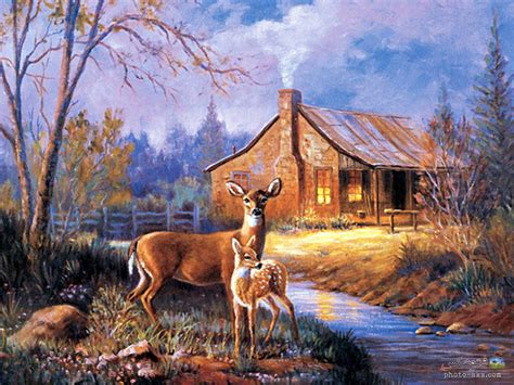 44 Wallpapers Deer And Cabin Wallpapersafari