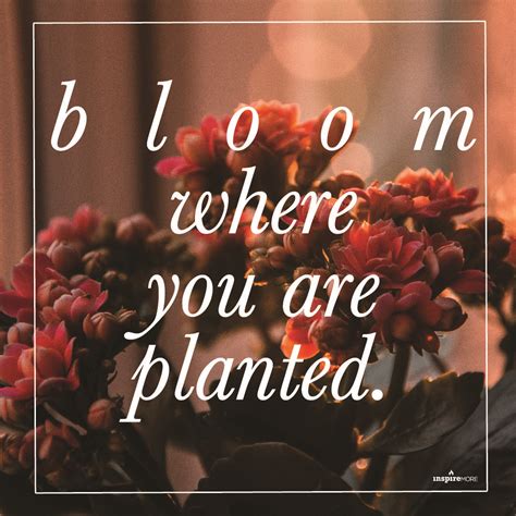 Bloom Where You Are Planted Bloom Where You Are Planted Neon