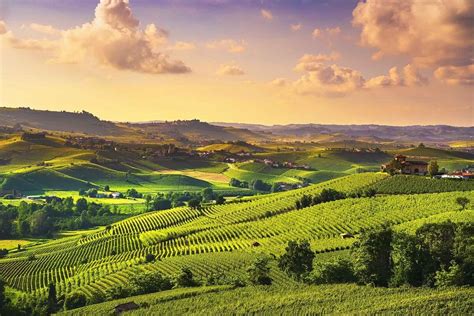 Motivations To Visit The Langhe Wine Region In Piemonte Italy
