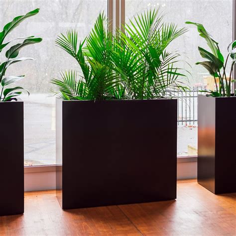 Plant care, soil & accessories. Best Pots for Indoor Plants: Top 10 Indoor Planters - Pots ...