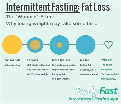 Intermittent Fasting What Is It And Is It Safe Ww Usa