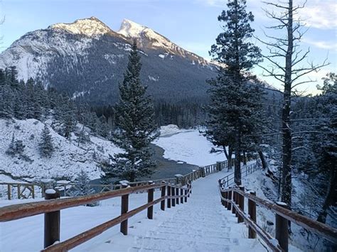 Bow River Trail Banff All You Need To Know Before You