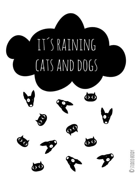 Rainy Quote Rain Raining Cats And Dogs Raining