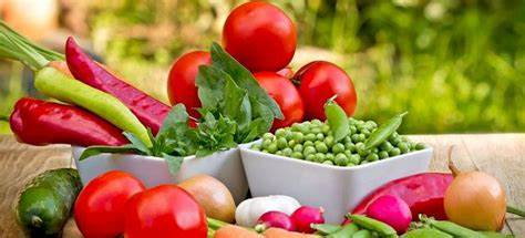 Диета клиники Майо для похудения - рецепт жиросжигающего супа и меню на Картинка - Диета клиники Майо для похудения - рецепт жиросжигающего супа и меню на