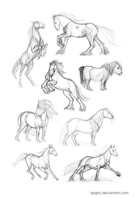 Poses Horse Drawing Reference Peepsburghcom