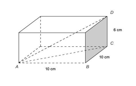 The Rectangular Prism Shown Has A Length Of 10 Cm A Width