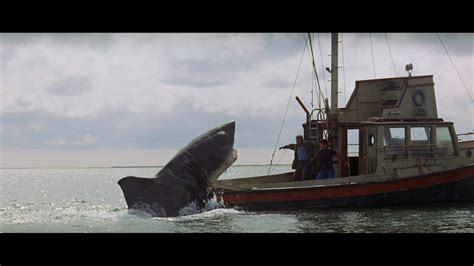 New On Netflix Jaws Jaws Jaws And Jaws Its Jaws Luddite Robot