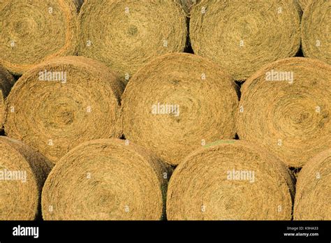 Stacked Round Hay Bales Stock Photos And Stacked Round Hay Bales Stock